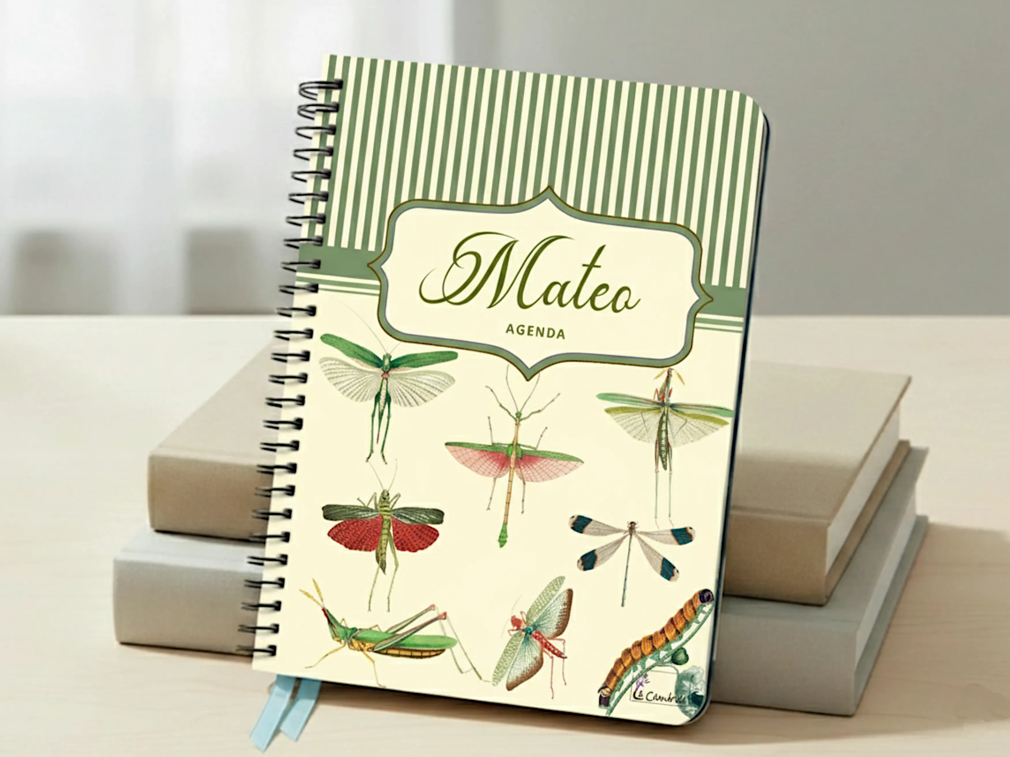 Agenda personalizada insectos