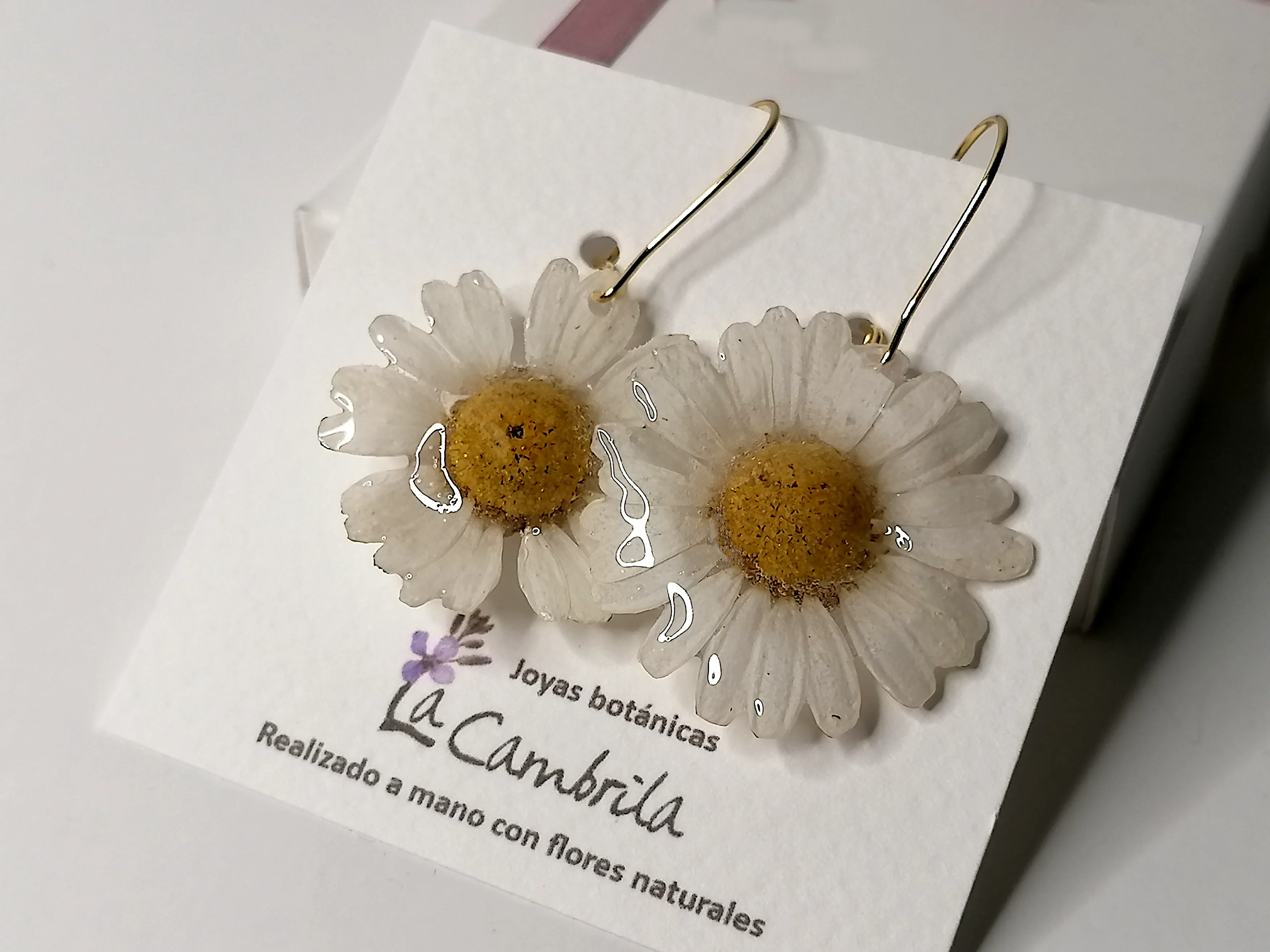 Pendientes de Margaritas Naturales en Resina | Joyas Botánicas La Cambrila